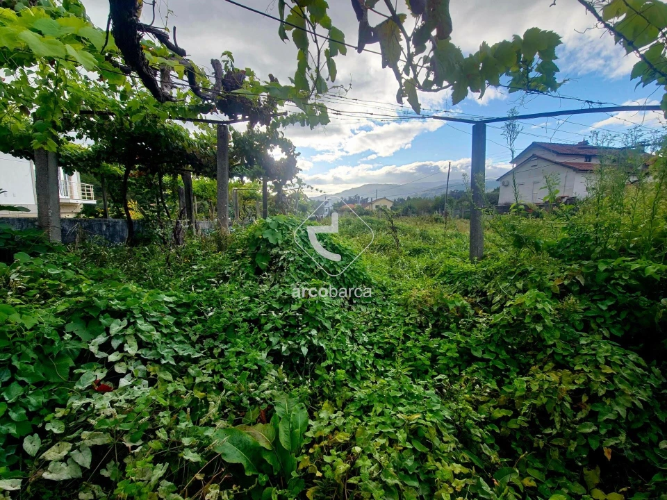 Terreno para Venda em Lavradas Foto 26