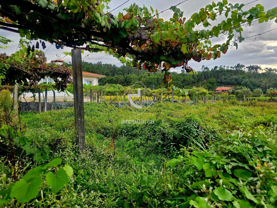 Terreno para Venda em Lavradas Foto 17