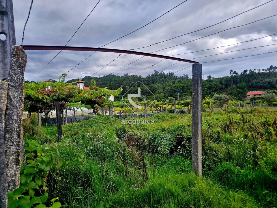 Terreno para Venda em Lavradas Foto 8