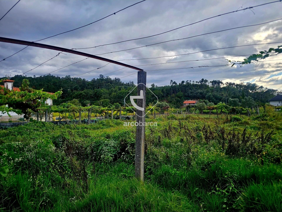 Terreno para Venda em Lavradas Foto 10