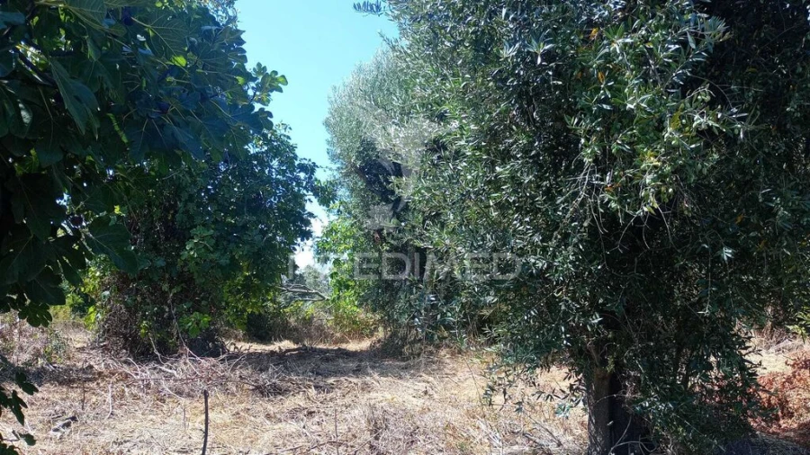 Moradia para Venda em Marvila, Ribeira Santarém, São Salvador, São Nicolau Foto 9