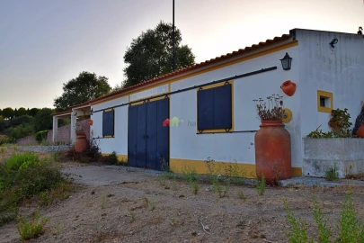 Quinta T6 para Venda em Ciborro