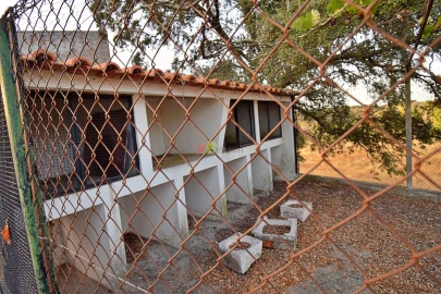 Quinta T6 para Venda em Ciborro