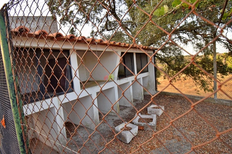 Quinta T6 para Venda em Ciborro Foto 114