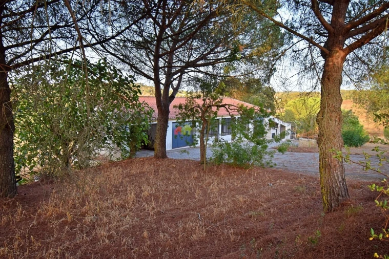 Quinta T6 para Venda em Ciborro Foto 106