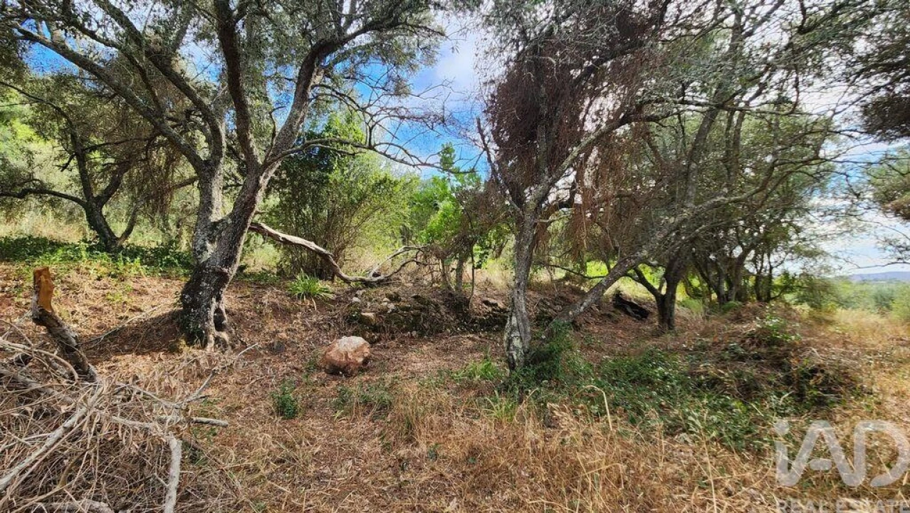 Terreno para Venda em São Bartolomeu de Messines Foto 12