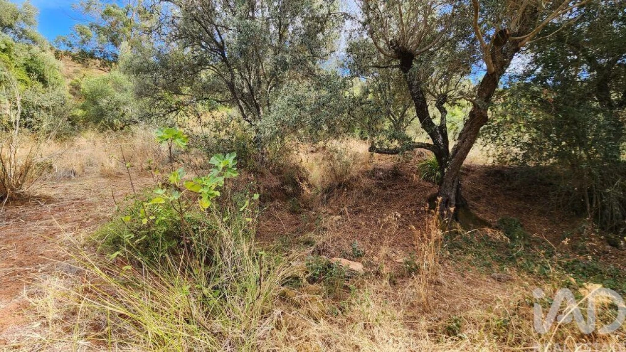 Terreno para Venda em São Bartolomeu de Messines Foto 4