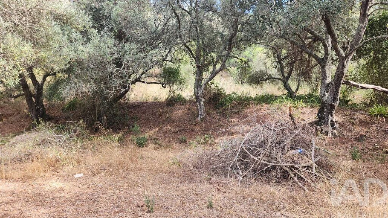 Terreno para Venda em São Bartolomeu de Messines Foto 27
