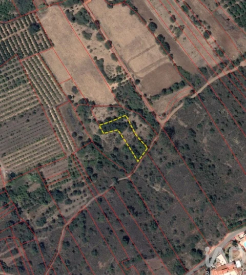 Terreno para Venda em São Bartolomeu de Messines