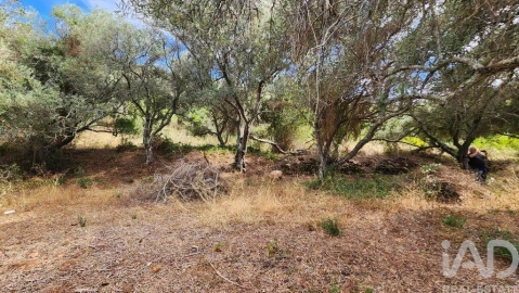 Terreno para Venda em São Bartolomeu de Messines