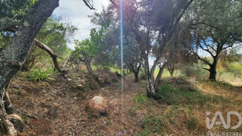 Terreno para Venda em São Bartolomeu de Messines
