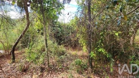 Terreno para Venda em São Bartolomeu de Messines
