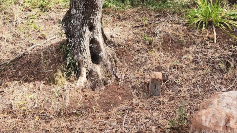 Terreno para Venda em São Bartolomeu de Messines