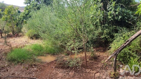 Terreno para Venda em São Bartolomeu de Messines