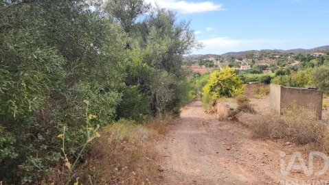 Terreno para Venda em São Bartolomeu de Messines