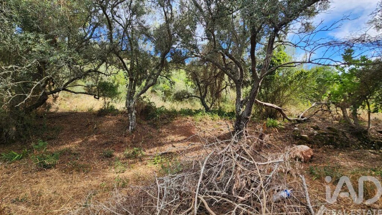 Terreno para Venda em São Bartolomeu de Messines Foto 11