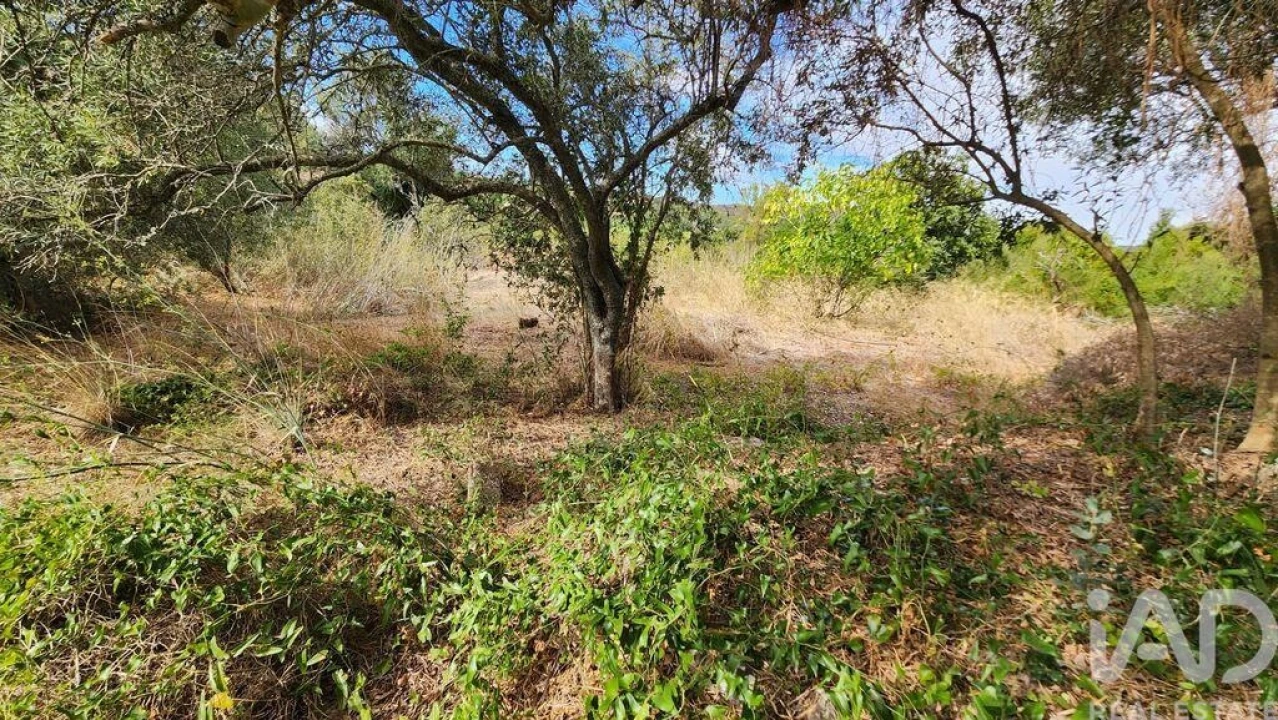 Terreno para Venda em São Bartolomeu de Messines Foto 20