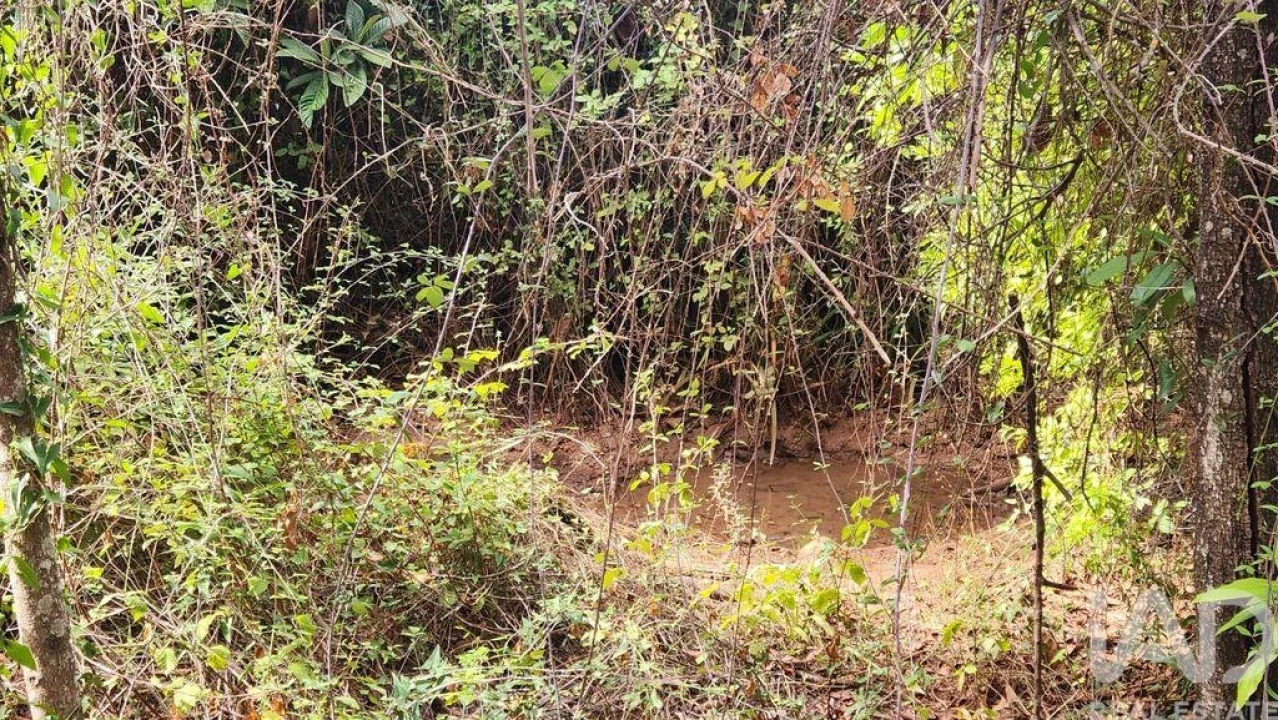 Terreno para Venda em São Bartolomeu de Messines Foto 29