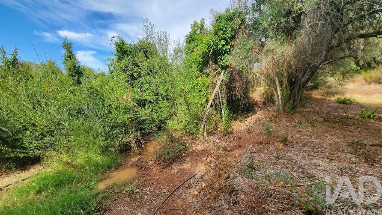 Terreno para Venda em São Bartolomeu de Messines Foto 17