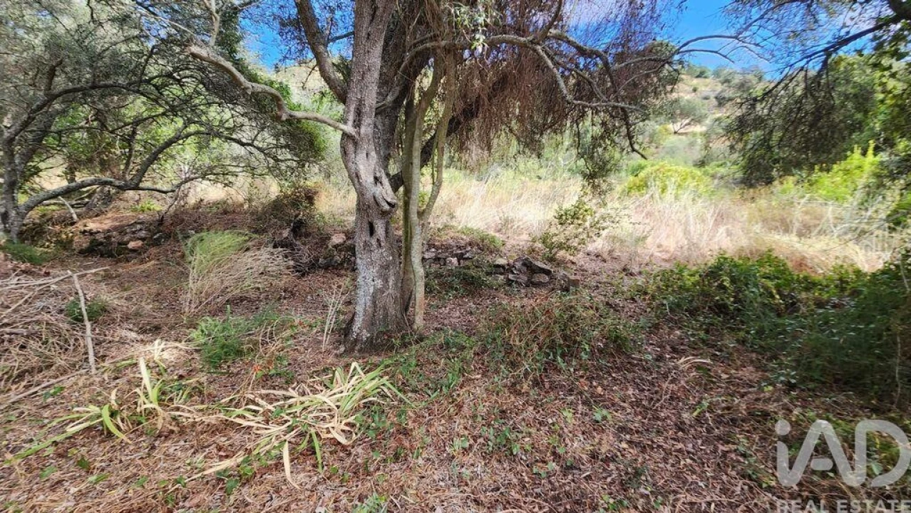 Terreno para Venda em São Bartolomeu de Messines Foto 21