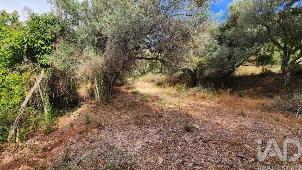 Terreno para Venda em São Bartolomeu de Messines Foto 15