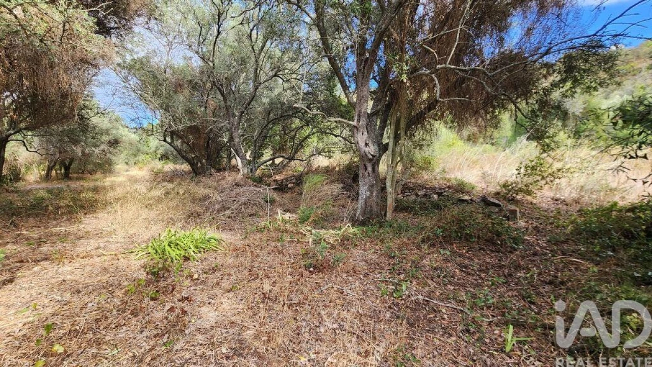 Terreno para Venda em São Bartolomeu de Messines Foto 23