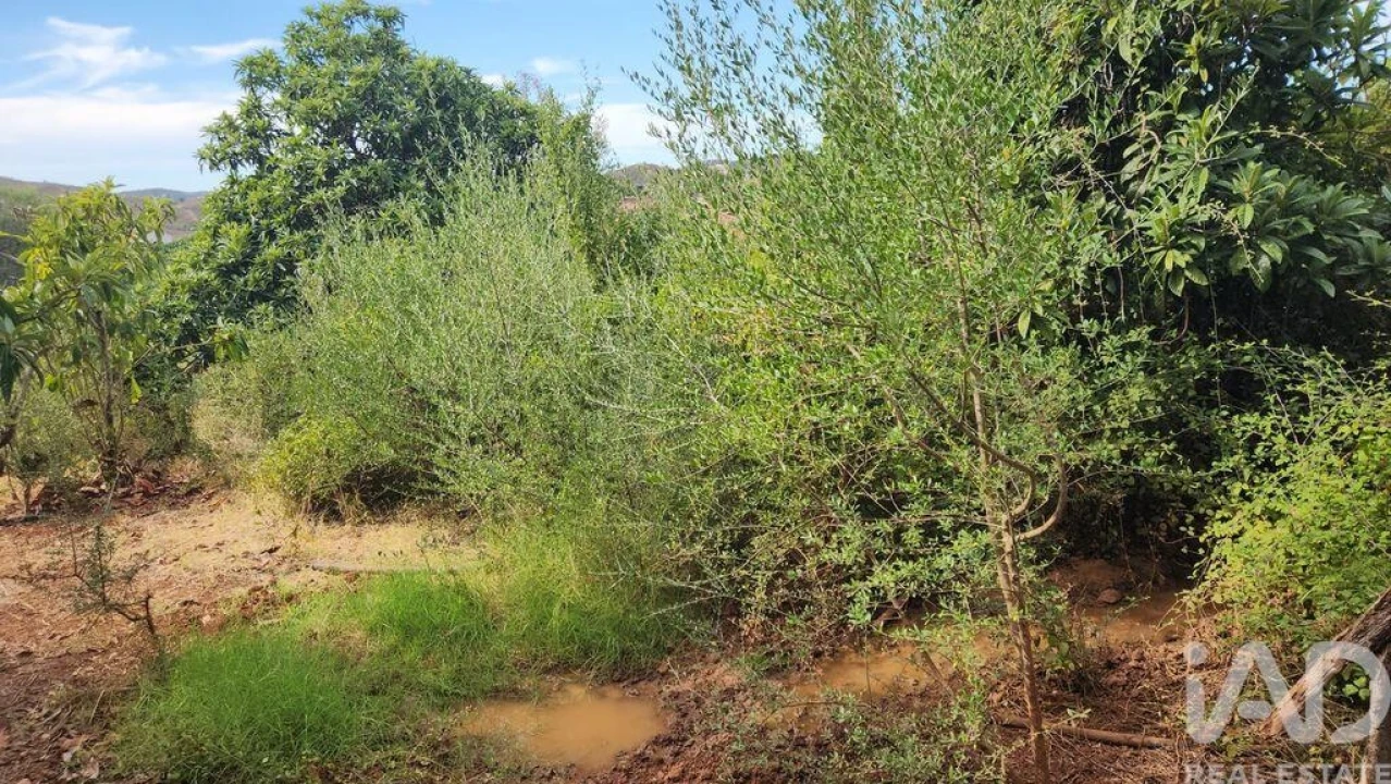 Terreno para Venda em São Bartolomeu de Messines Foto 26