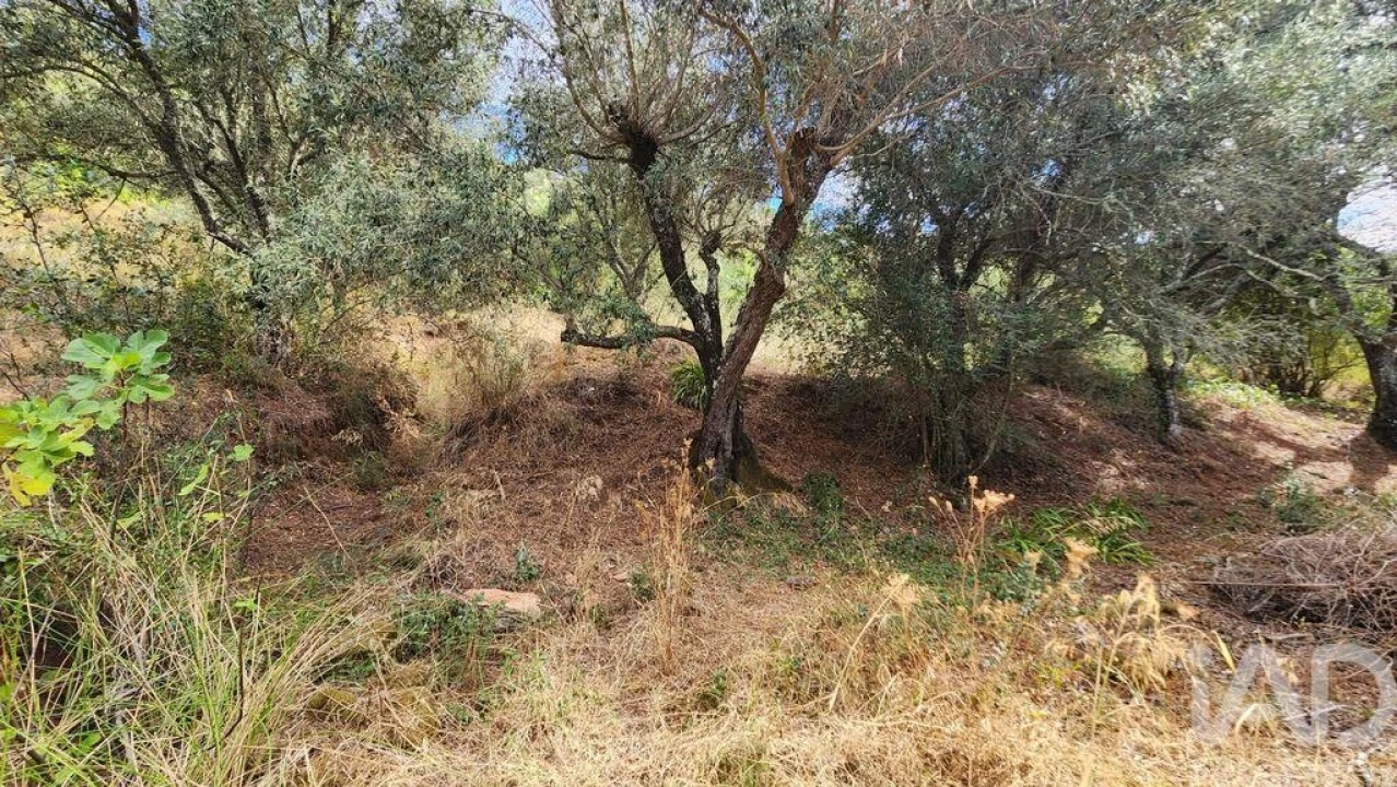 Terreno para Venda em São Bartolomeu de Messines Foto 6