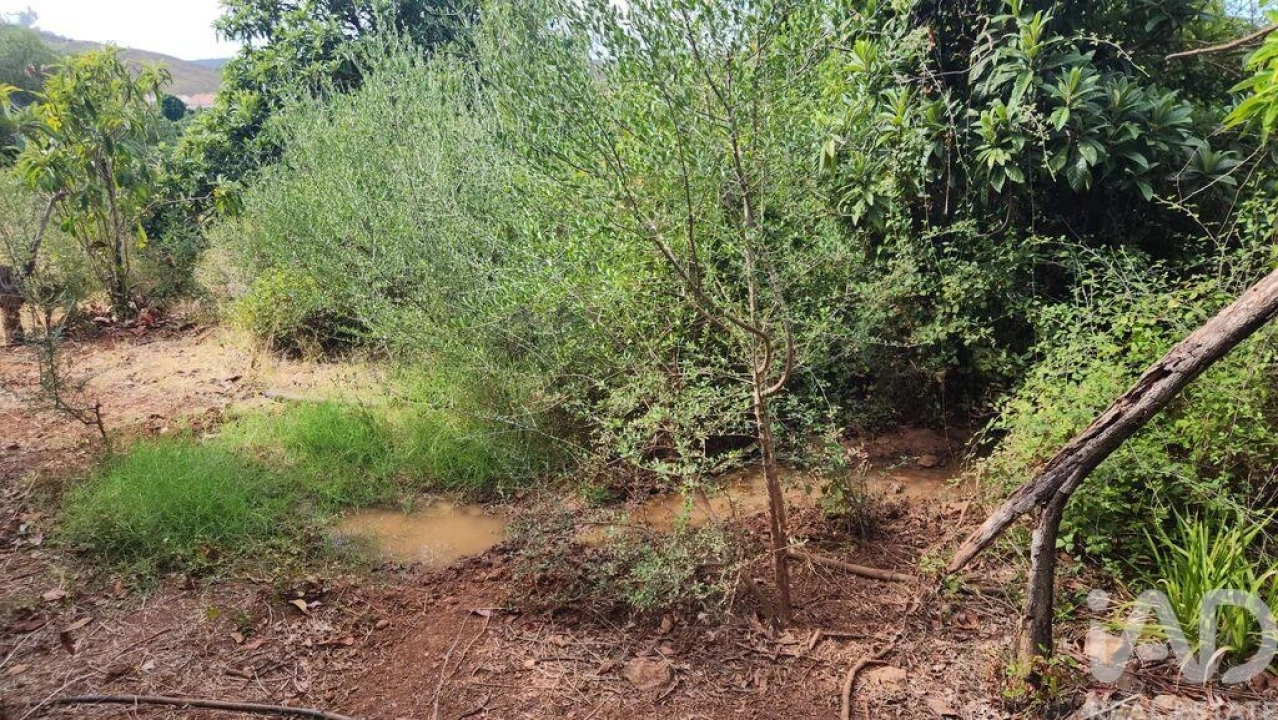 Terreno para Venda em São Bartolomeu de Messines Foto 28