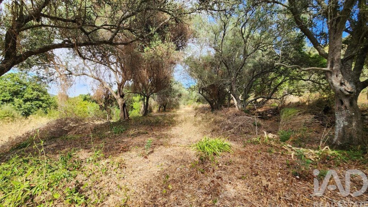 Terreno para Venda em São Bartolomeu de Messines Foto 19