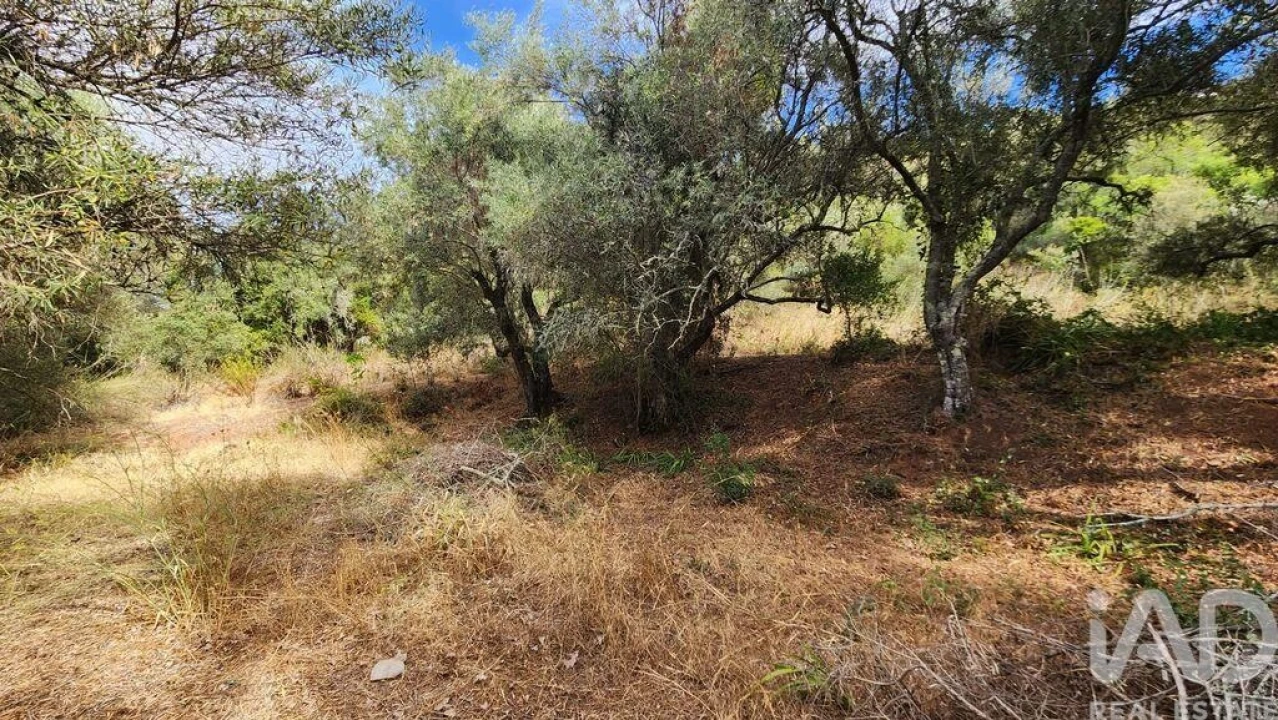 Terreno para Venda em São Bartolomeu de Messines Foto 13