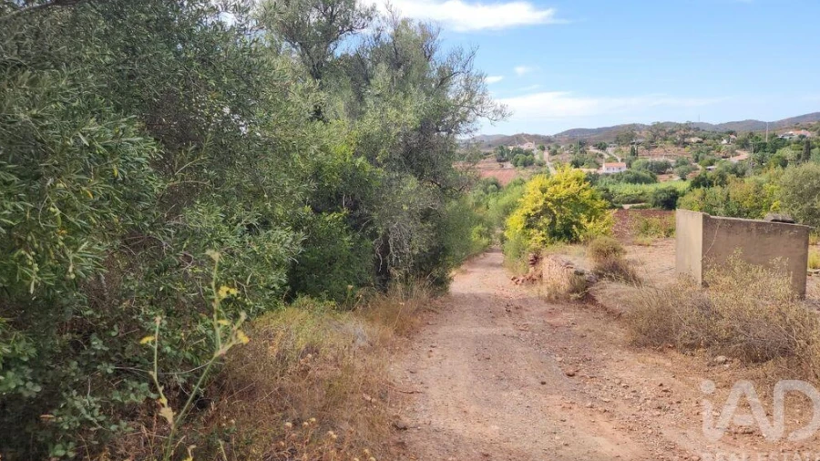 Terreno para Venda em São Bartolomeu de Messines