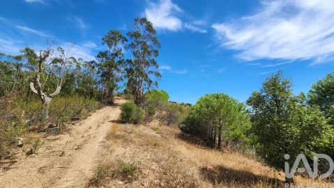 Terreno para Venda em São Bartolomeu de Messines