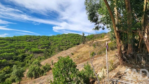 Terreno para Venda em São Bartolomeu de Messines