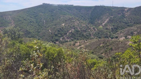 Terreno para Venda em São Bartolomeu de Messines