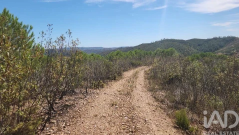 Terreno para Venda em São Bartolomeu de Messines