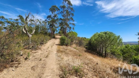 Terreno para Venda em São Bartolomeu de Messines