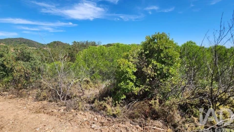 Terreno para Venda em São Bartolomeu de Messines