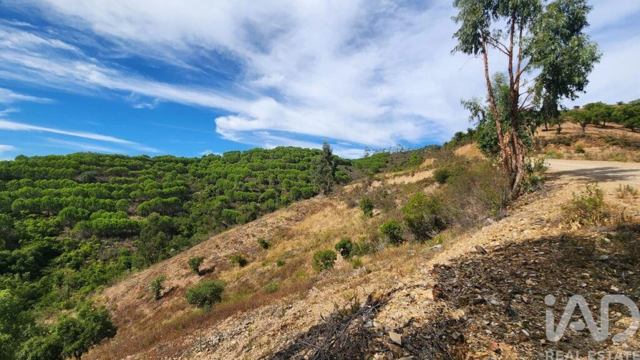 Terreno para Venda em São Bartolomeu de Messines Foto 7