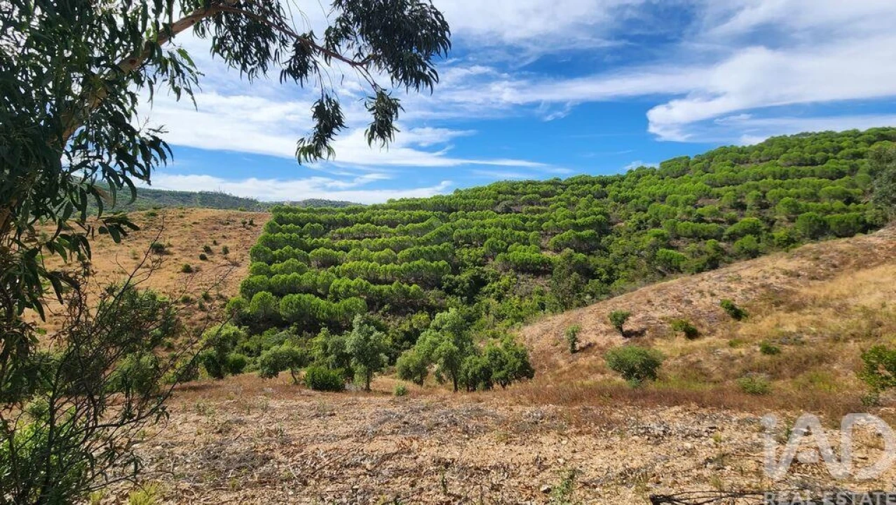 Terreno para Venda em São Bartolomeu de Messines Foto 8