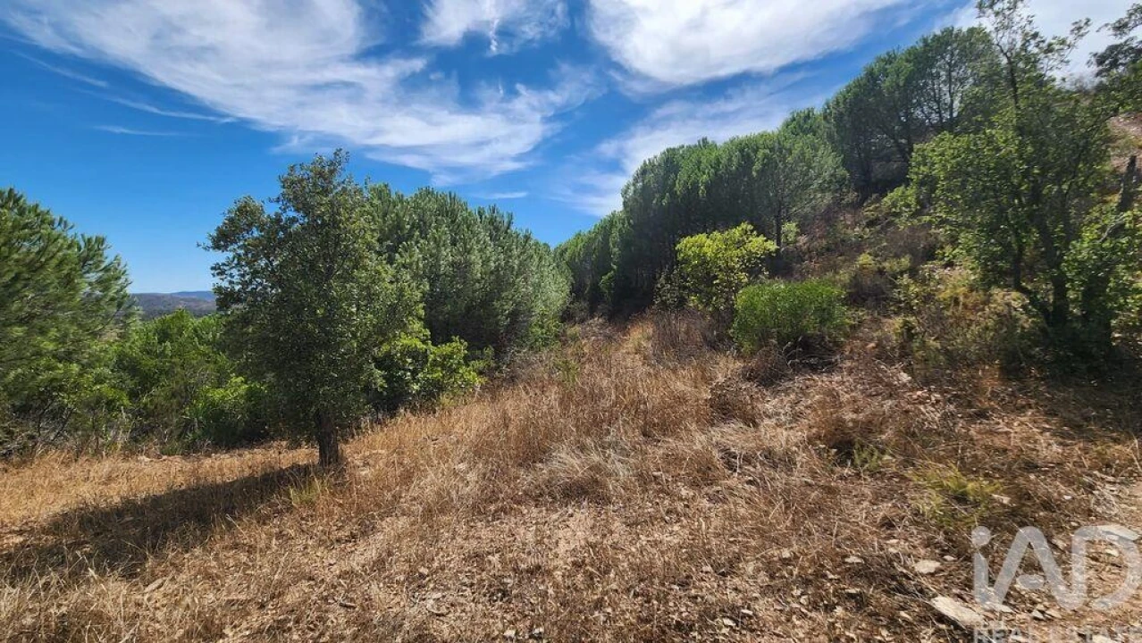 Terreno para Venda em São Bartolomeu de Messines Foto 14