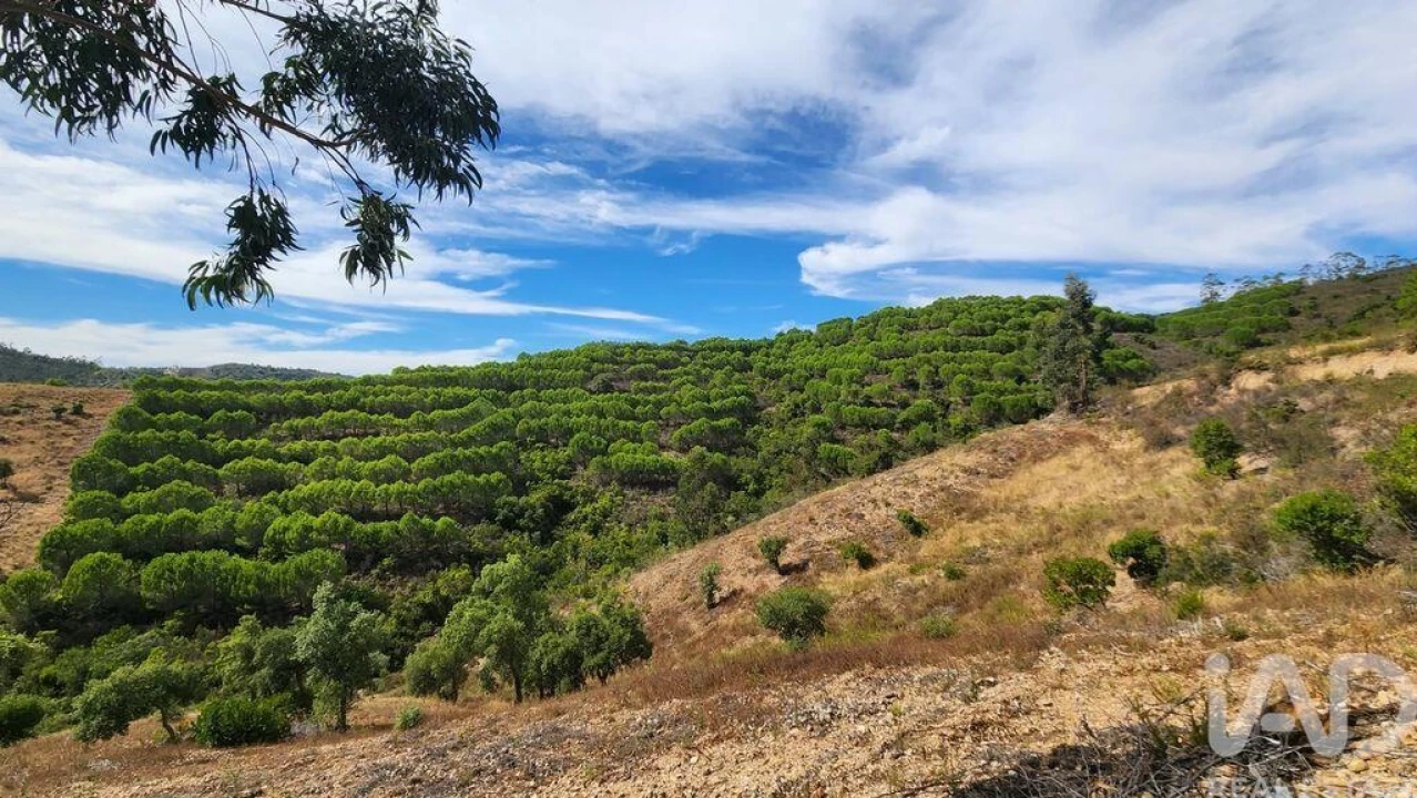 Terreno para Venda em São Bartolomeu de Messines Foto 6