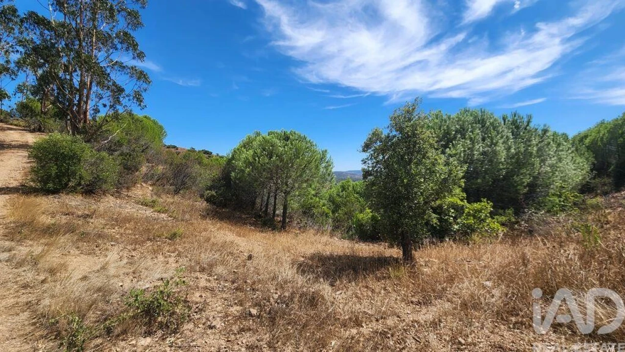 Terreno para Venda em São Bartolomeu de Messines Foto 20