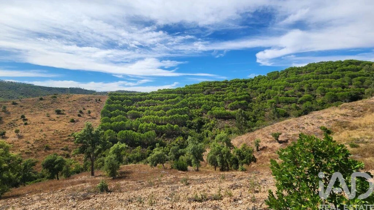 Terreno para Venda em São Bartolomeu de Messines Foto 1