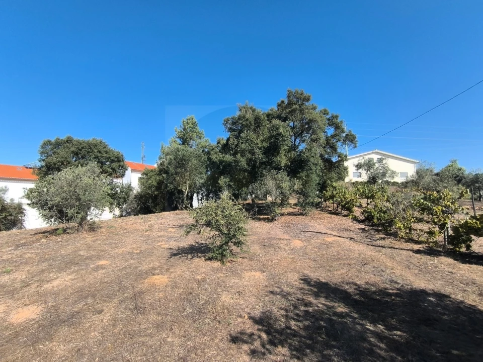 Moradia T3 para Venda em Abrantes (São Vicente e São João) e Alferrarede Foto 25