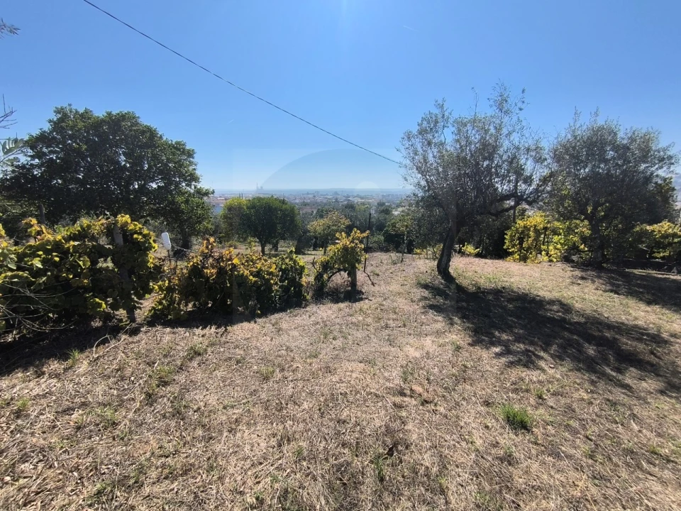 Moradia T3 para Venda em Abrantes (São Vicente e São João) e Alferrarede Foto 27
