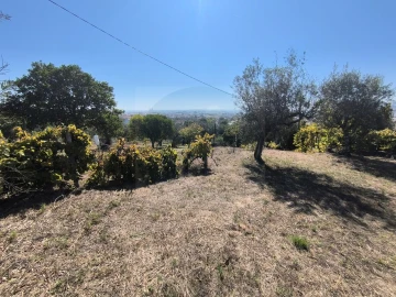 Moradia T3 para Venda em Abrantes (São Vicente e São João) e Alferrarede