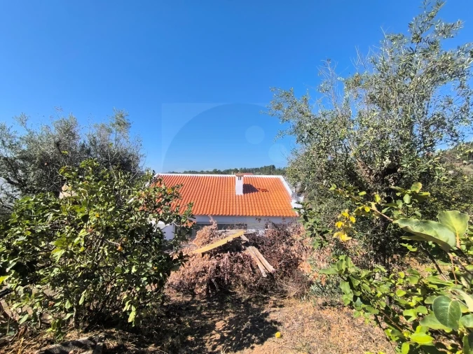 Moradia T3 para Venda em Abrantes (São Vicente e São João) e Alferrarede Foto 23