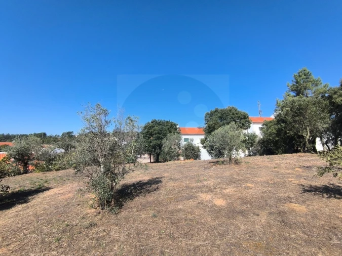 Moradia T3 para Venda em Abrantes (São Vicente e São João) e Alferrarede Foto 24