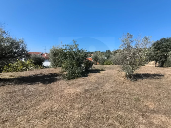 Moradia T3 para Venda em Abrantes (São Vicente e São João) e Alferrarede Foto 26